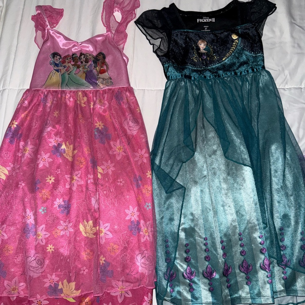 Disney Princess and Frozen Dresses